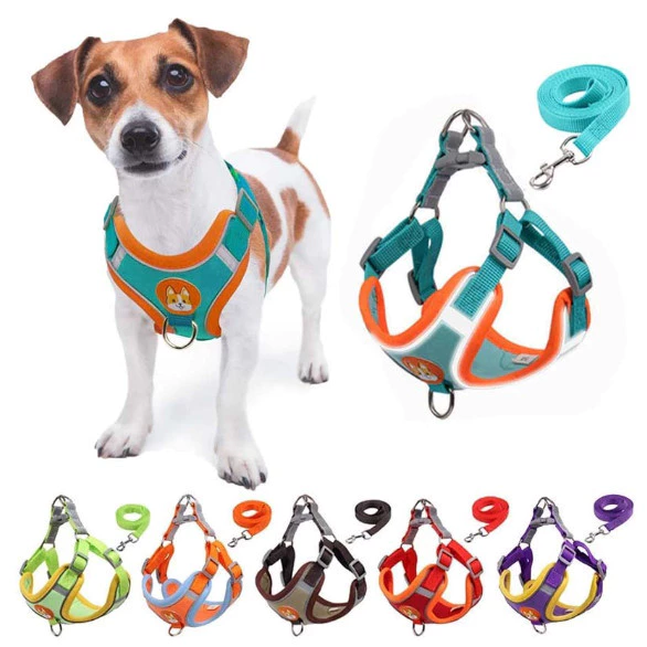 Peitoral para Cães Pequenos e Médios